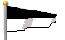 Flag 6